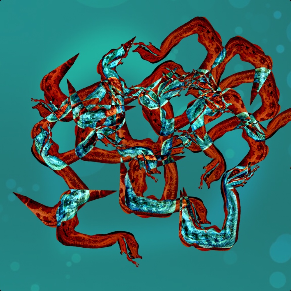 Meet your Posher, Jason